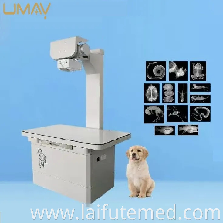 Advanced Veterinary Pet X Ray Machine for Diagnostic Imaging Needs